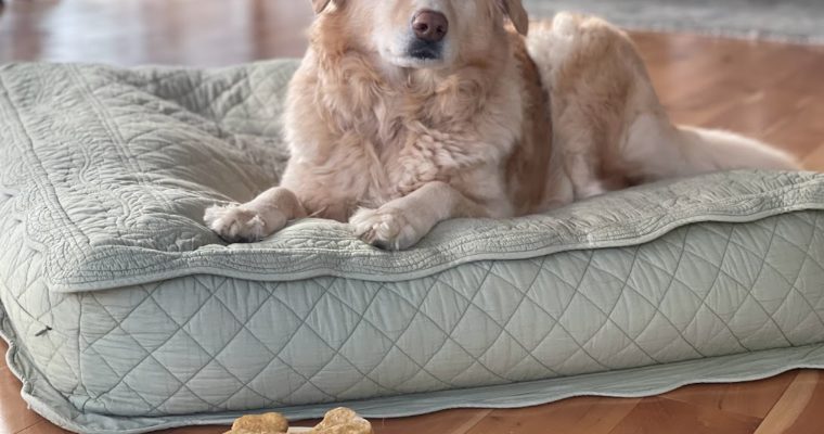 Sweet Potato Peanut Butter Dog Biscuits